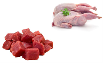 درآمد میلیاردی خراسان جنوبی از گوشت شترمرغ و بلدرچین